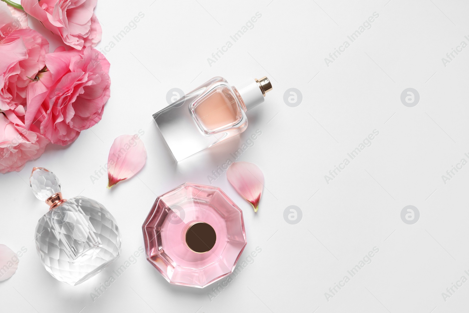 Photo of Different perfume bottles and flowers on white background, top view