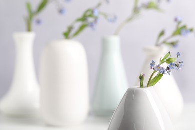 Photo of Beautiful forget-me-not flowers in vases on blurred background, closeup