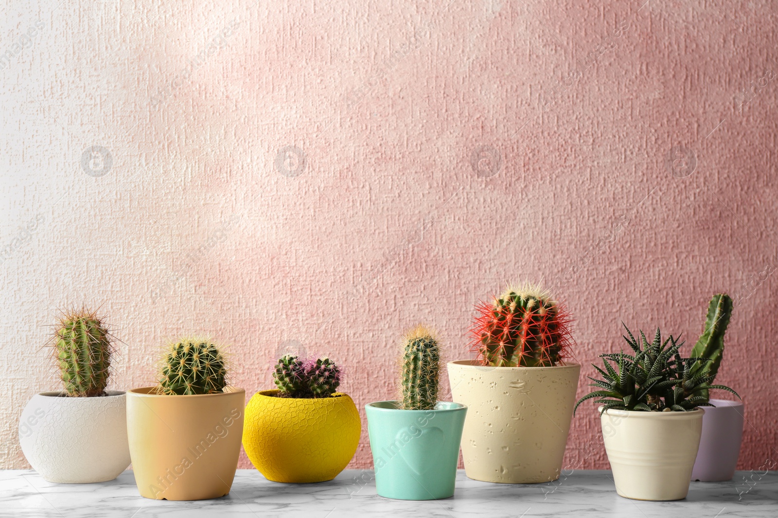 Photo of Different potted cacti on table near color background, space for text. Interior decor