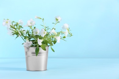 Photo of White flowers in metal pot on light blue background. Space for text