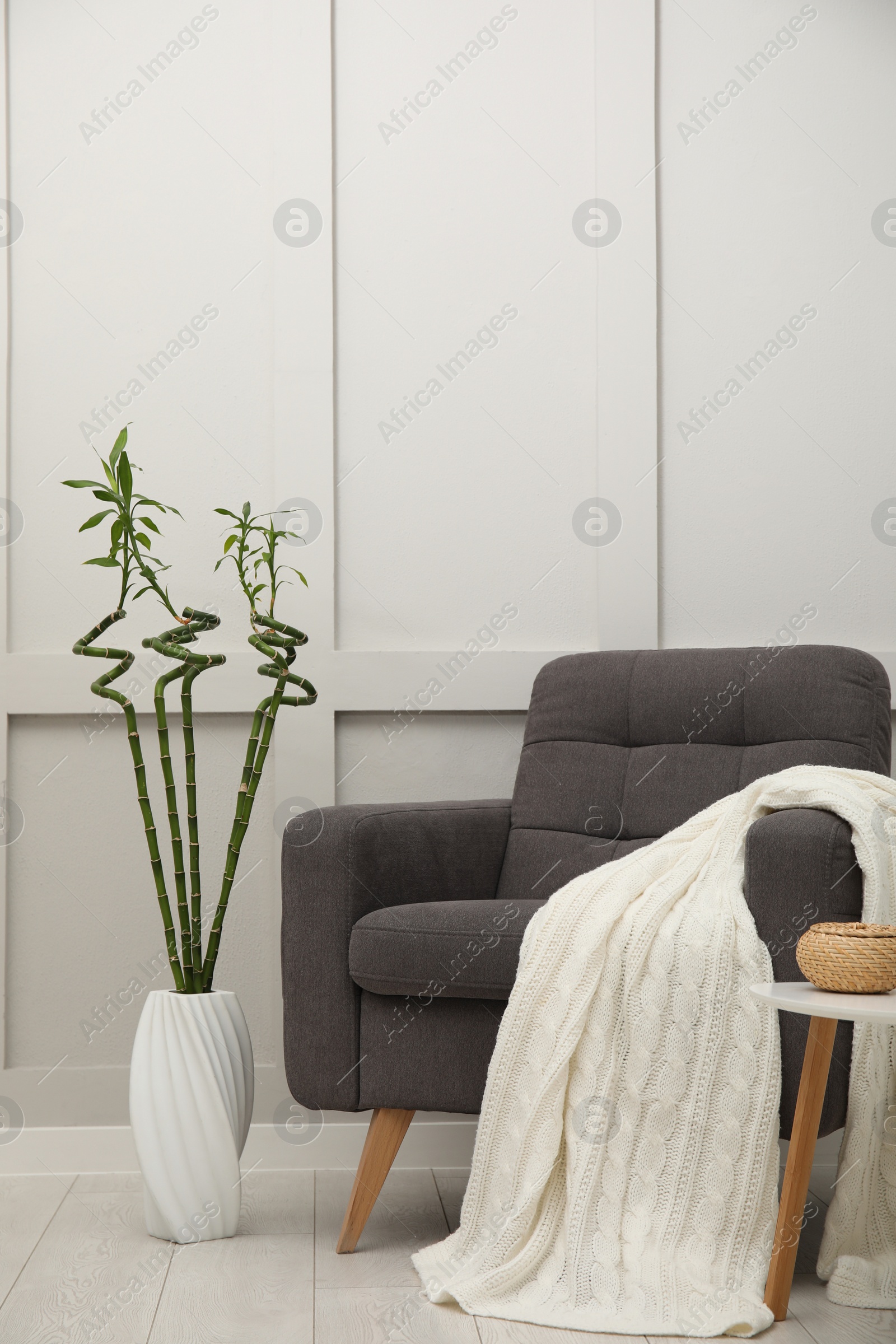 Photo of Vase with green bamboo stems on floor and armchair in room. Interior design