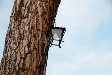 Photo of Vintage street lamp hanging on tree trunk outdoors, low angle view