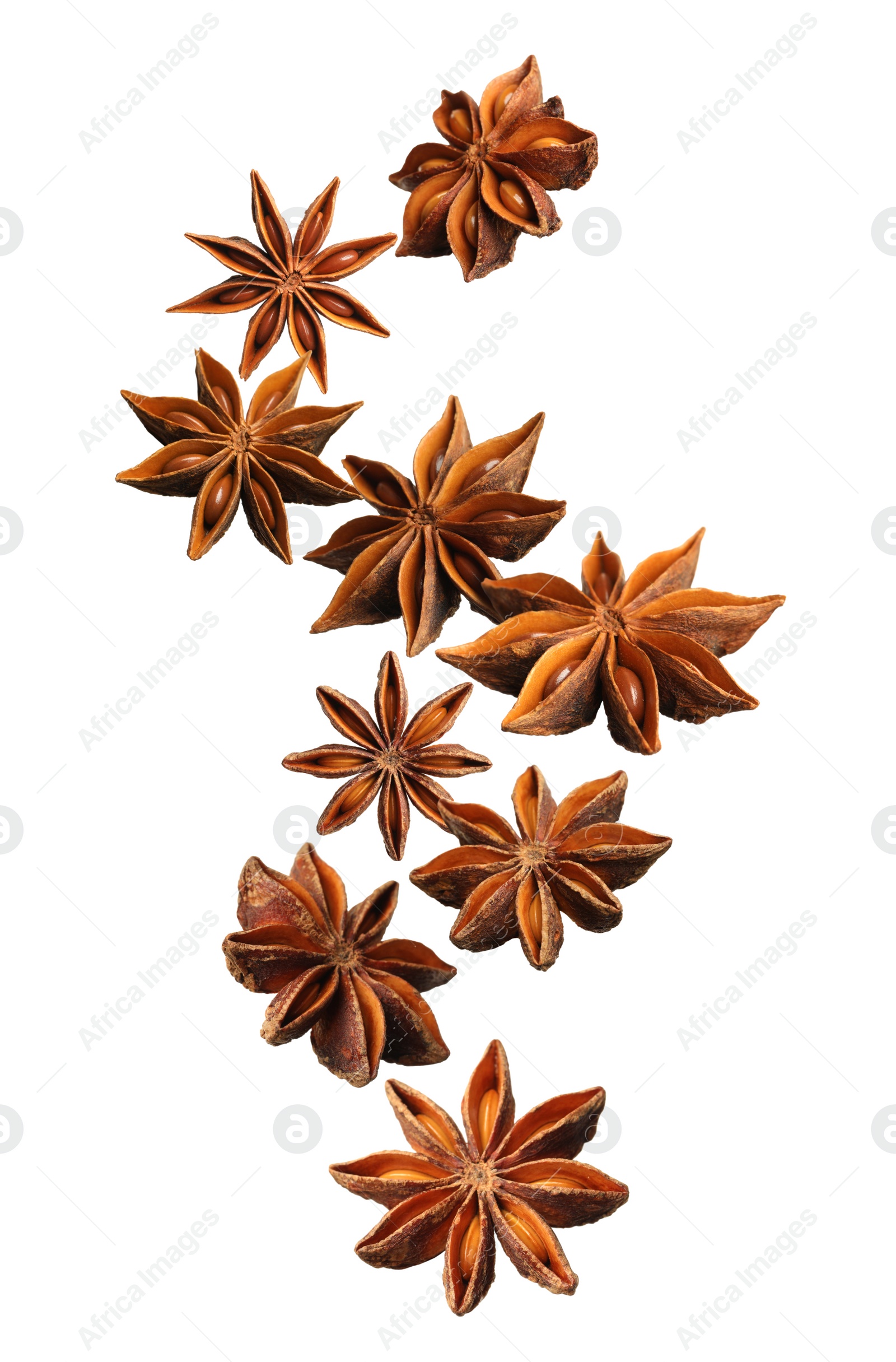 Image of Dry aromatic anise stars falling on white background