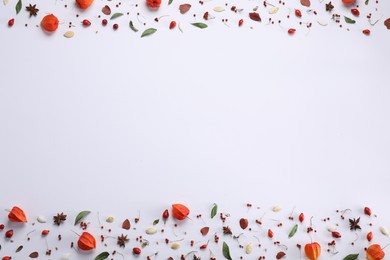 Photo of Autumn flat lay composition with physalis and berries on white background. Space for text
