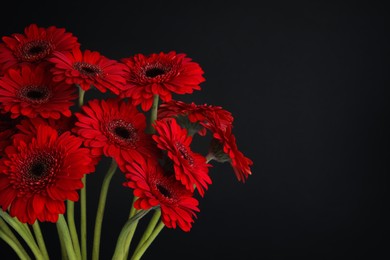 Photo of Bouquet of beautiful red gerbera flowers on black background. Space for text