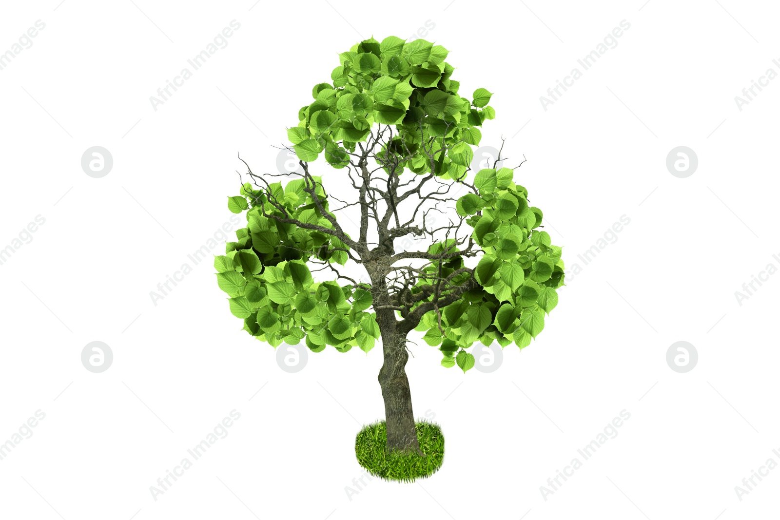 Image of Tree with green leaves in shape of recycling symbol on white background