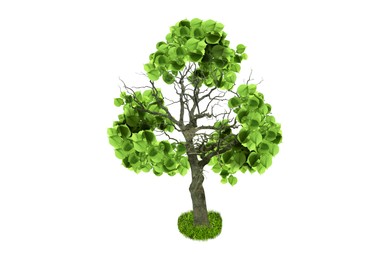 Image of Tree with green leaves in shape of recycling symbol on white background