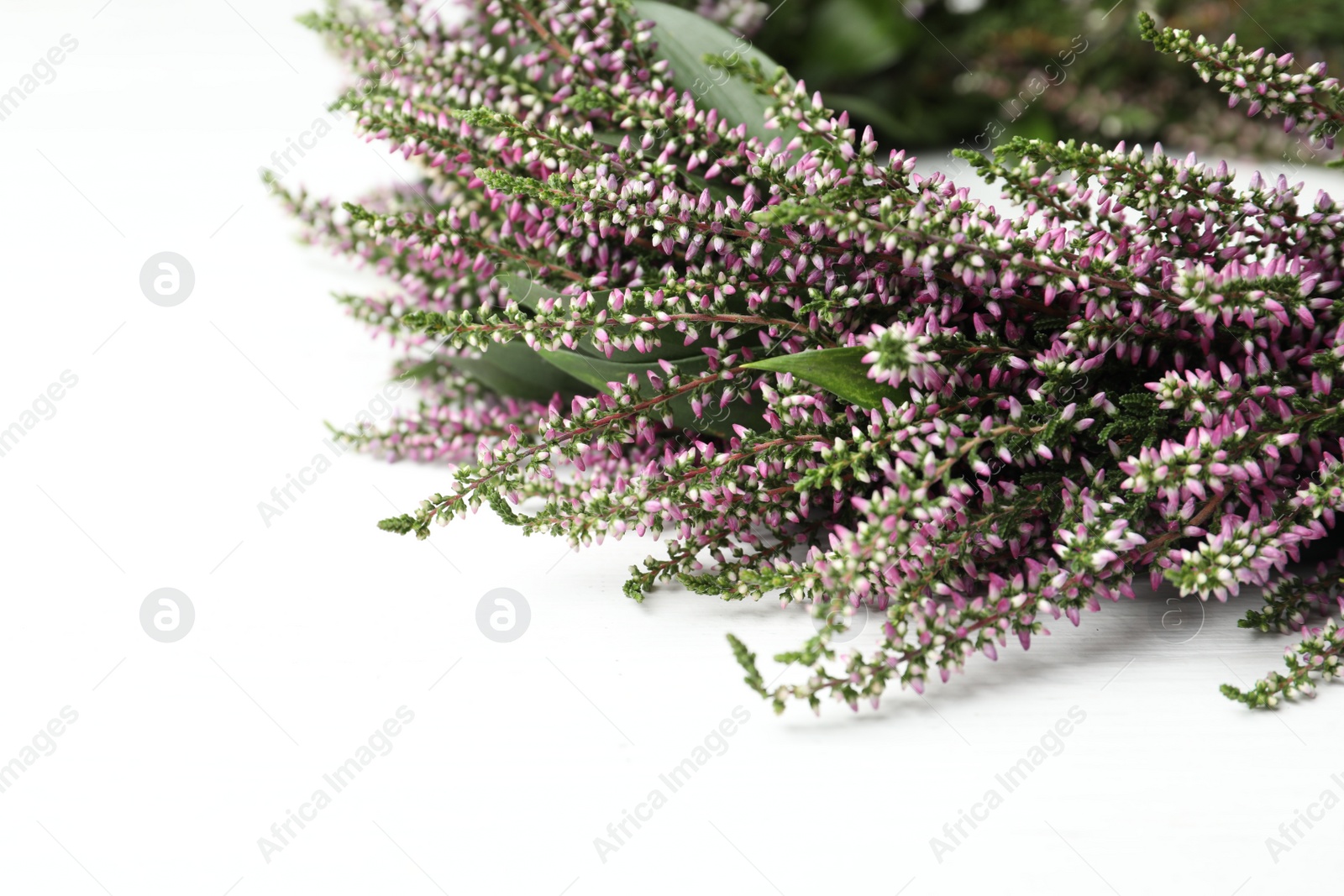 Photo of Beautiful autumnal wreath with heather flowers on white background, closeup