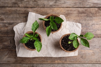Photo of Vegetable seedlings in peat pots on wooden table, flat lay