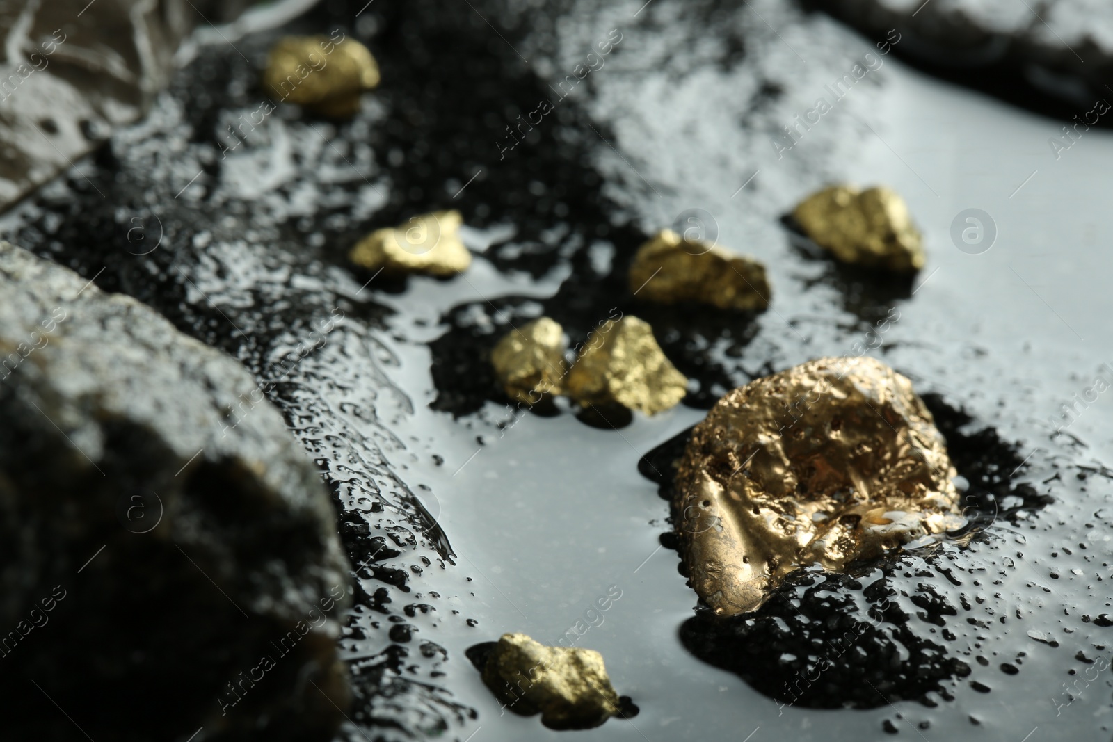 Photo of Shiny gold nuggets on wet stones, closeup