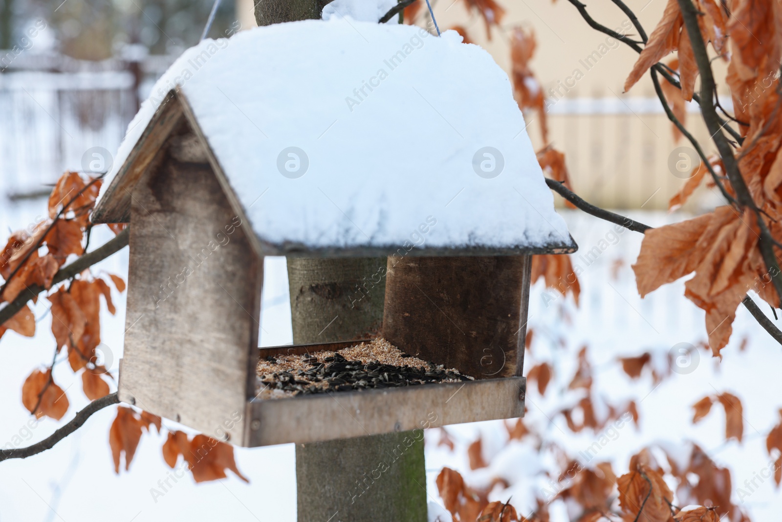 Photo of Wooden birdhouse hanging on tree with dry leaves in park