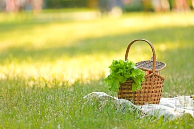 Photo of Picnic basket with lettuce and blanket on green grass in park