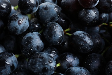 Bunch of fresh ripe juicy grapes as background. Closeup view