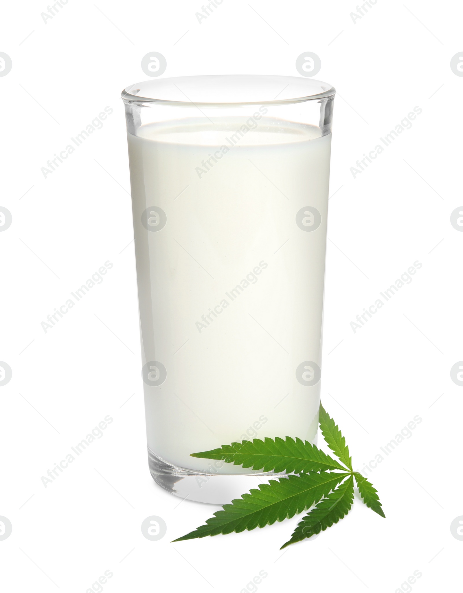 Photo of Glass of hemp milk and green leaf on white background