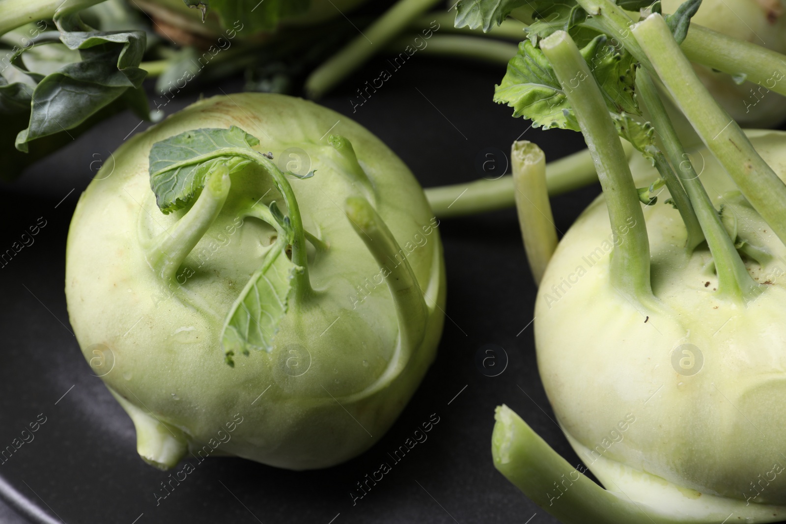 Photo of Ripe kohlrabi plants on plate, closeup view