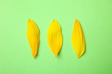 Photo of Fresh yellow sunflower petals on green background, flat lay