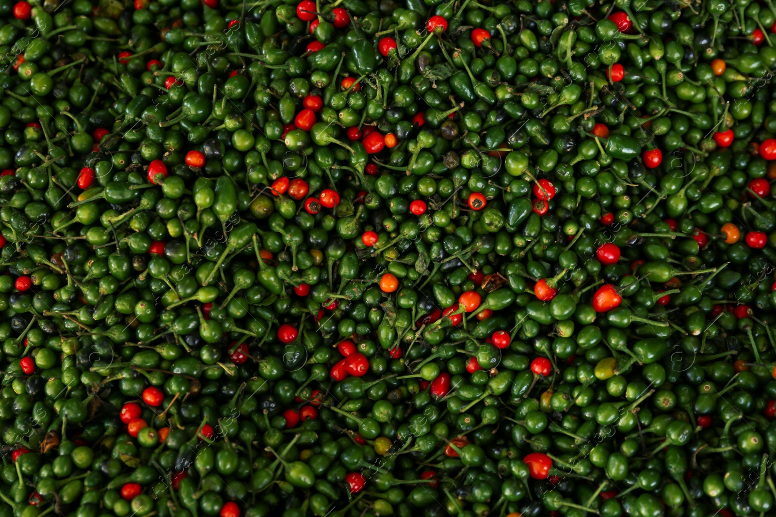 Photo of Heap of fresh delicious chiltepin as background, top view