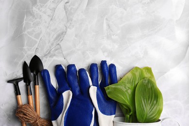 Photo of Gardening gloves, tools and houseplant on light grey marble table, flat lay. Space for text