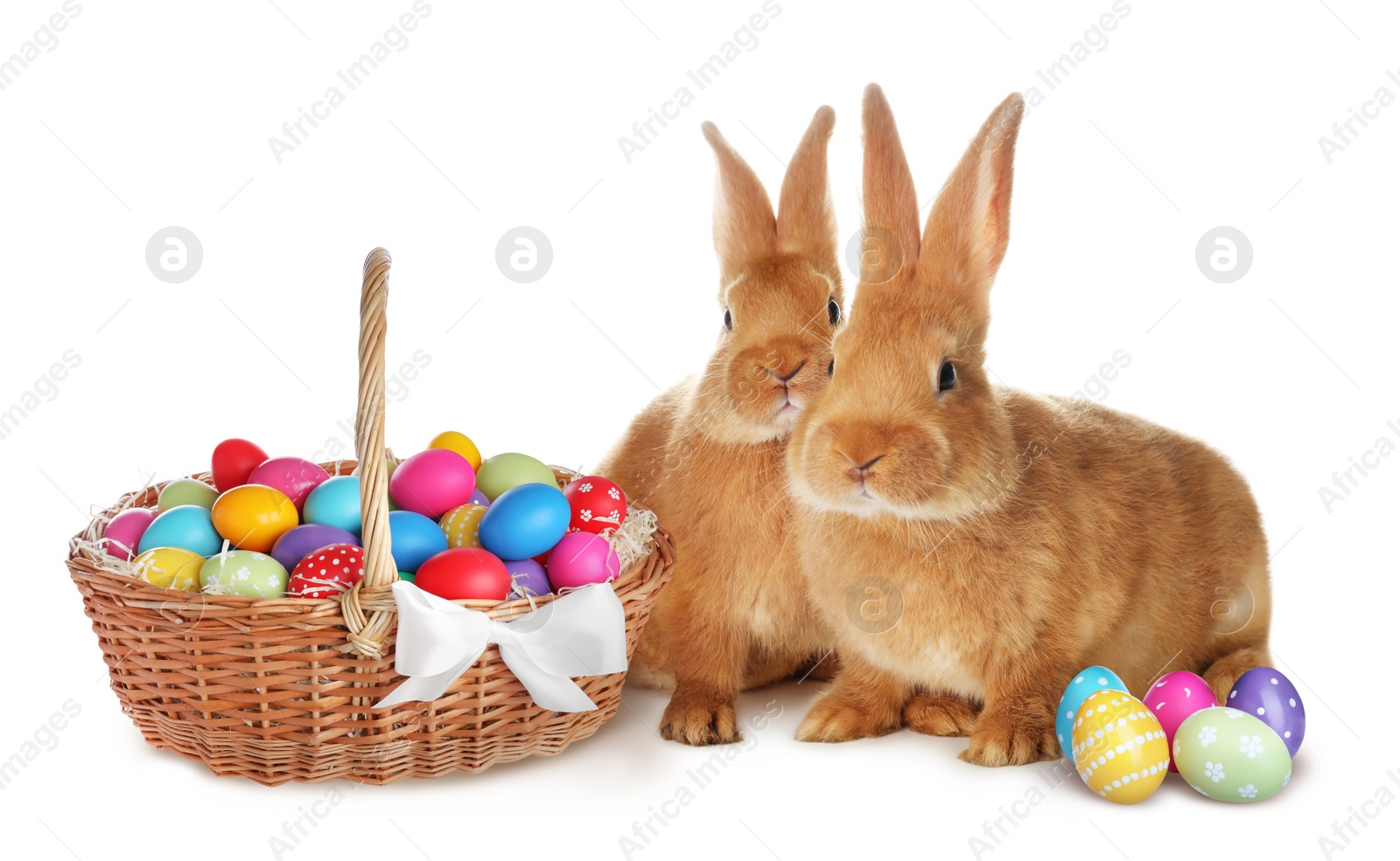 Image of Cute bunnies and wicker basket with bright Easter eggs on white background