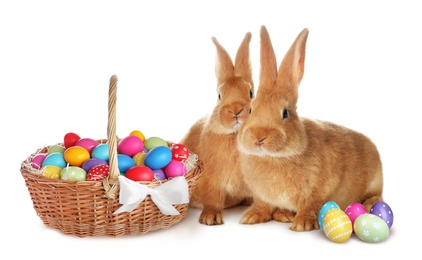 Image of Cute bunnies and wicker basket with bright Easter eggs on white background
