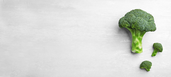 Top view of fresh green broccoli on white marble table, space for text. Banner design 