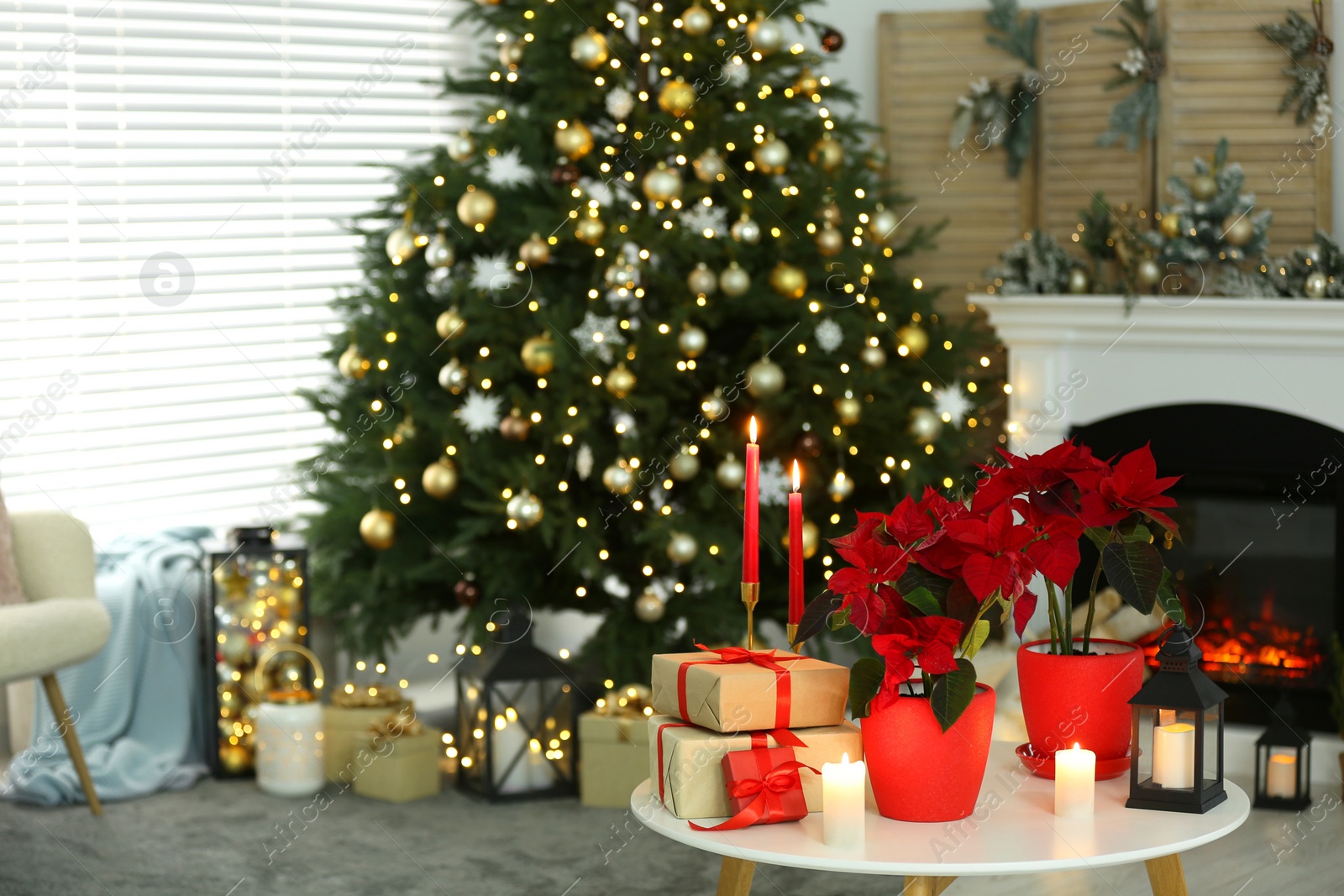 Photo of Potted poinsettias, burning candles and festive decor on white table in room, space for text. Christmas traditional flower