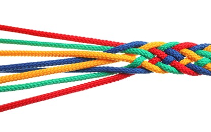 Photo of Braided colorful ropes on white background. Unity concept