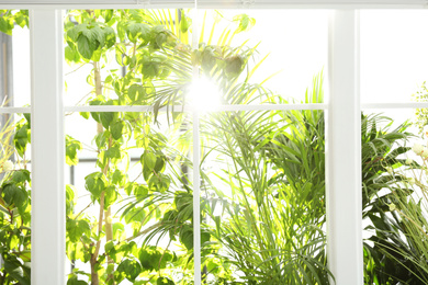 Beautiful view through window on garden in morning