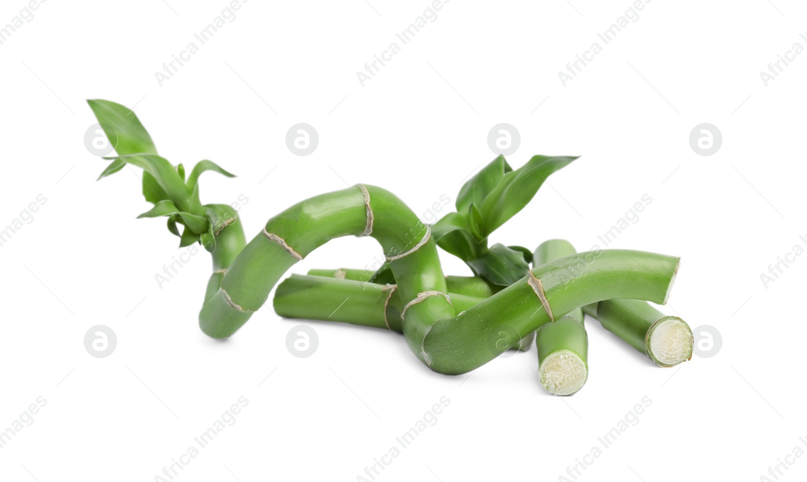 Photo of Pieces of beautiful green bamboo stems on white background