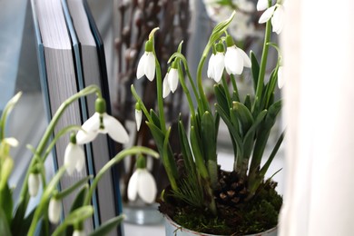 Photo of Blooming snowdrops and books on blurred background. First spring flowers