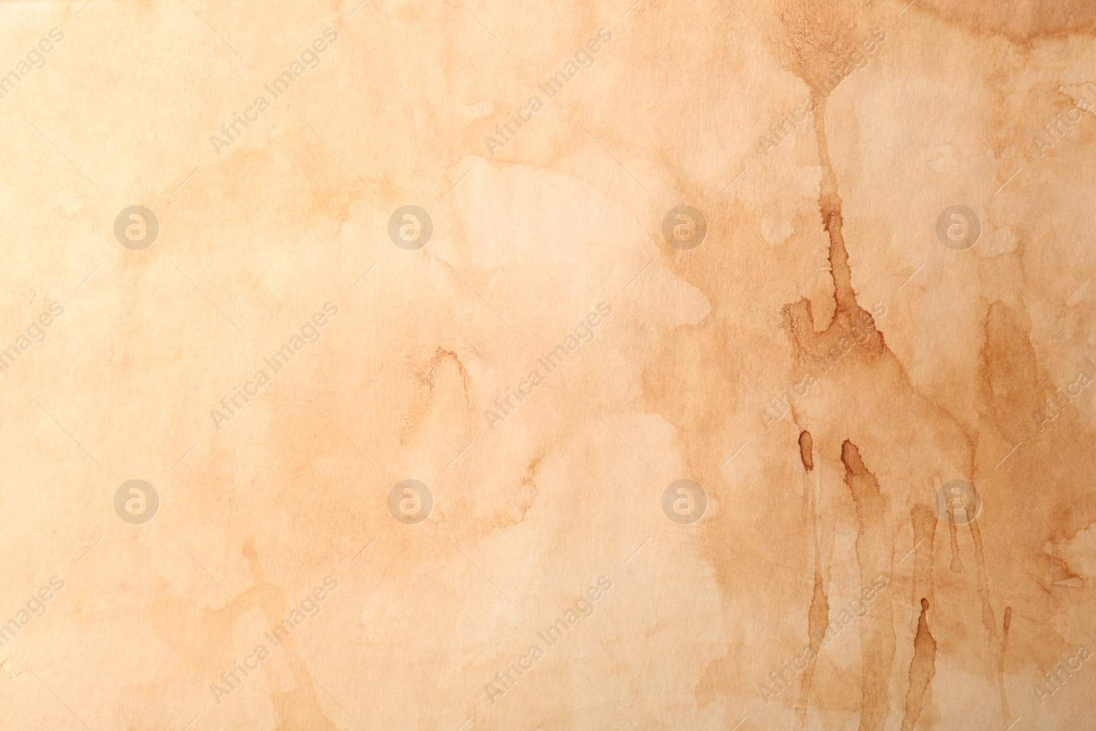 Photo of Sheet of old parchment paper as background, top view