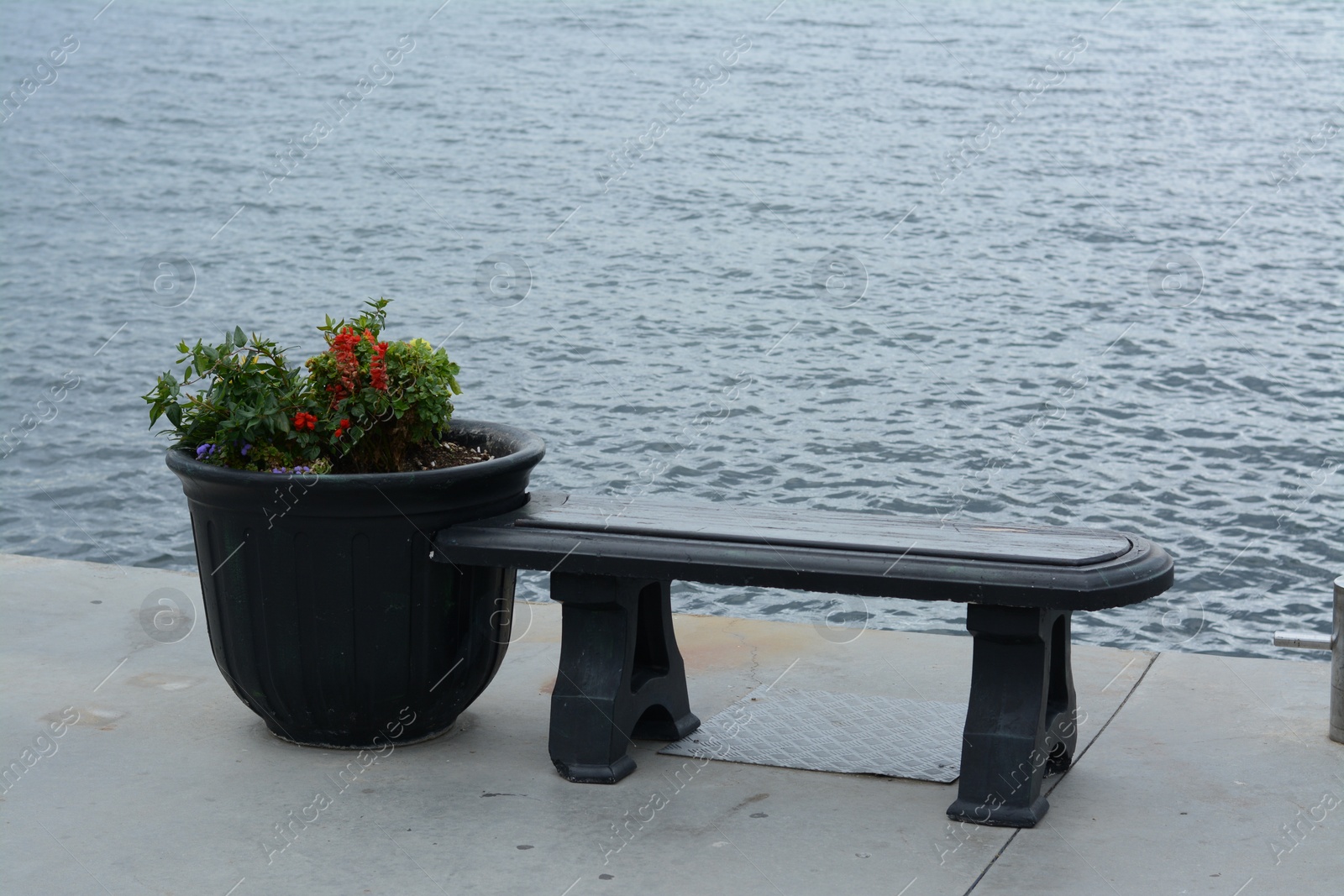 Photo of Stylish black bench and vase with beautiful plants on seashore