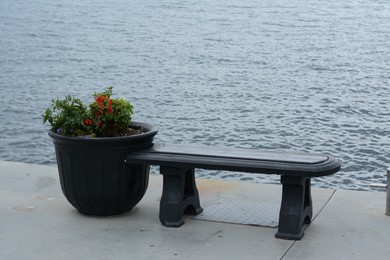 Stylish black bench and vase with beautiful plants on seashore
