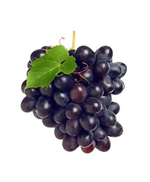 Bunch of fresh ripe juicy dark blue grapes with leaf isolated on white