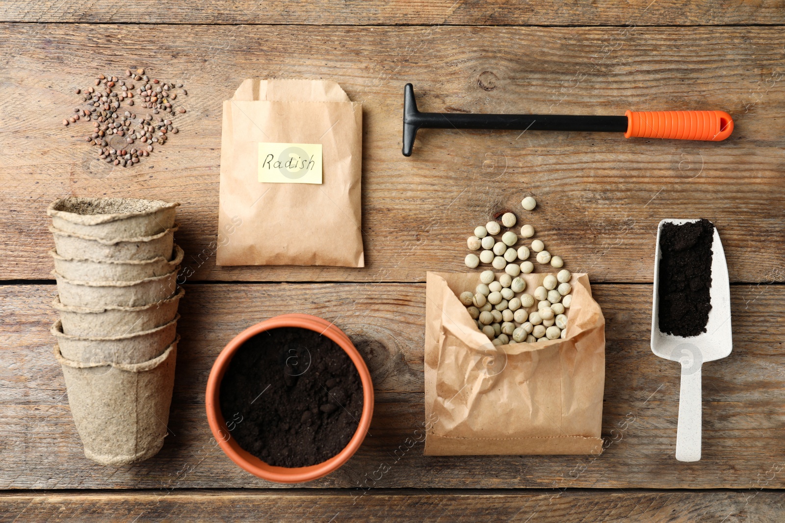 Photo of Flat lay composition with vegetable seeds and gardening equipment on wooden table