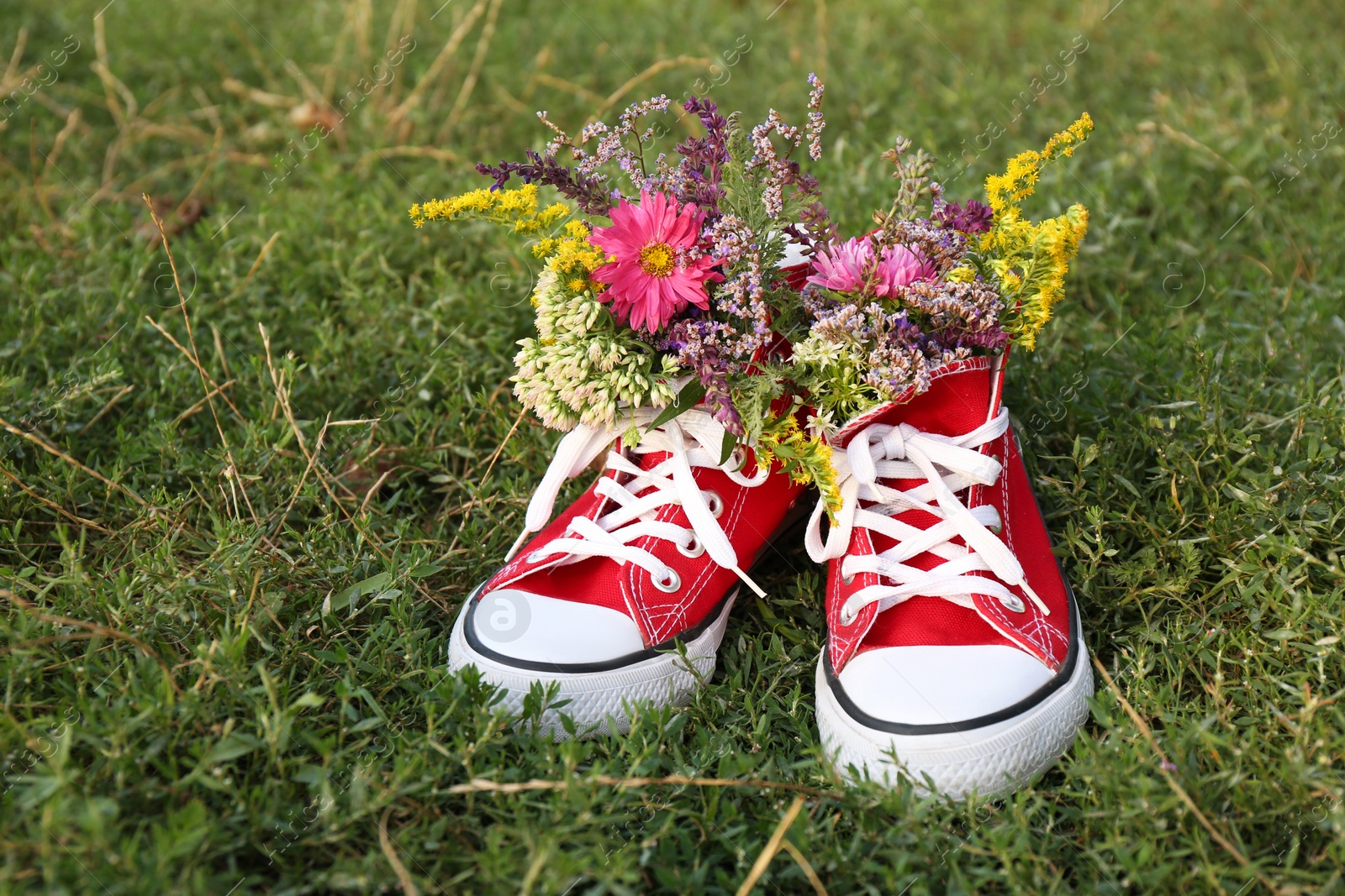 Photo of Shoes with beautiful flowers on grass outdoors