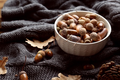 Photo of Acorns in bowl on grey knitted fabric