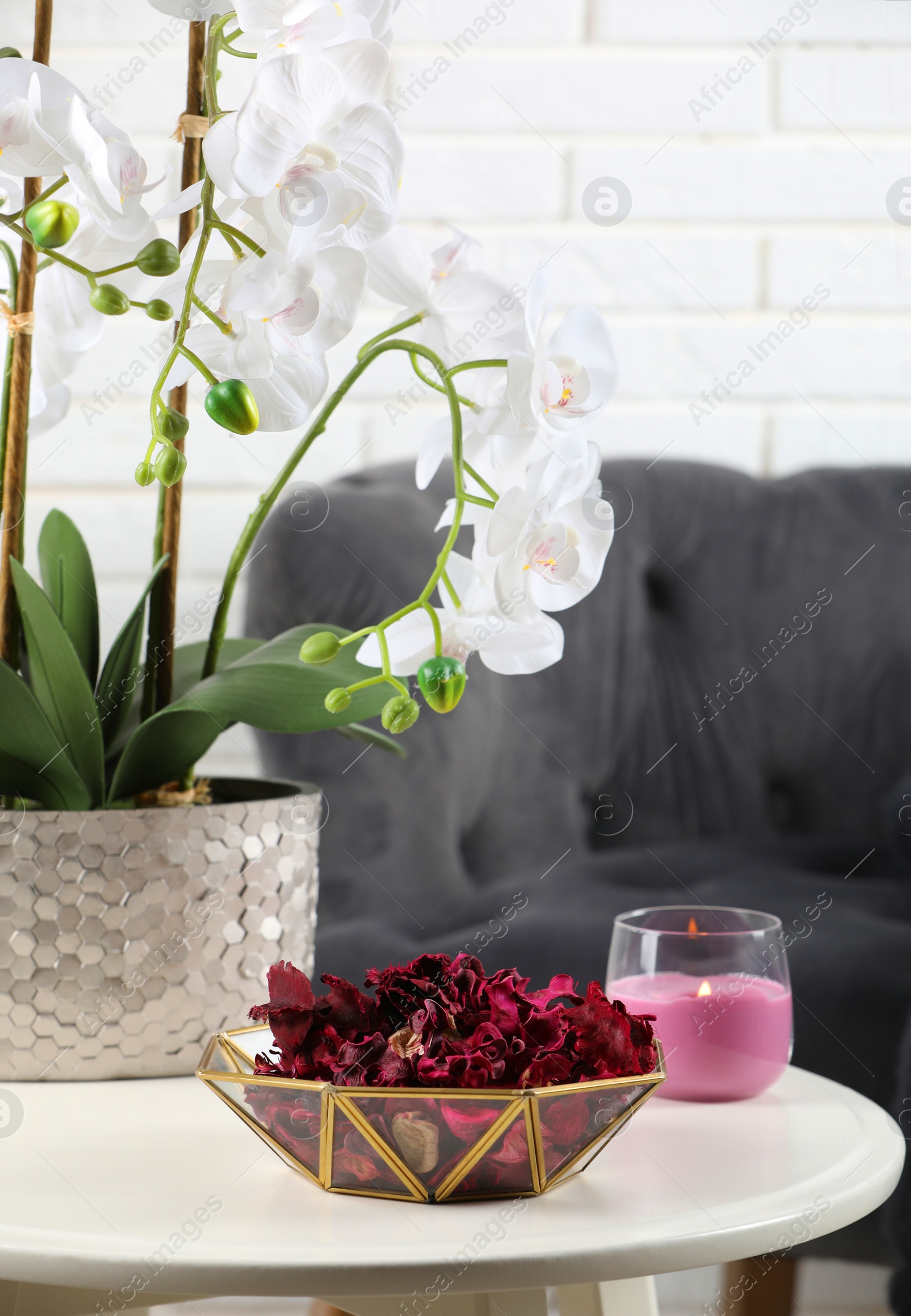 Photo of Aromatic potpourri of dried flowers in bowl, beautiful houseplant and candle on white table indoors