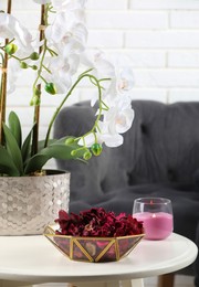 Photo of Aromatic potpourri of dried flowers in bowl, beautiful houseplant and candle on white table indoors
