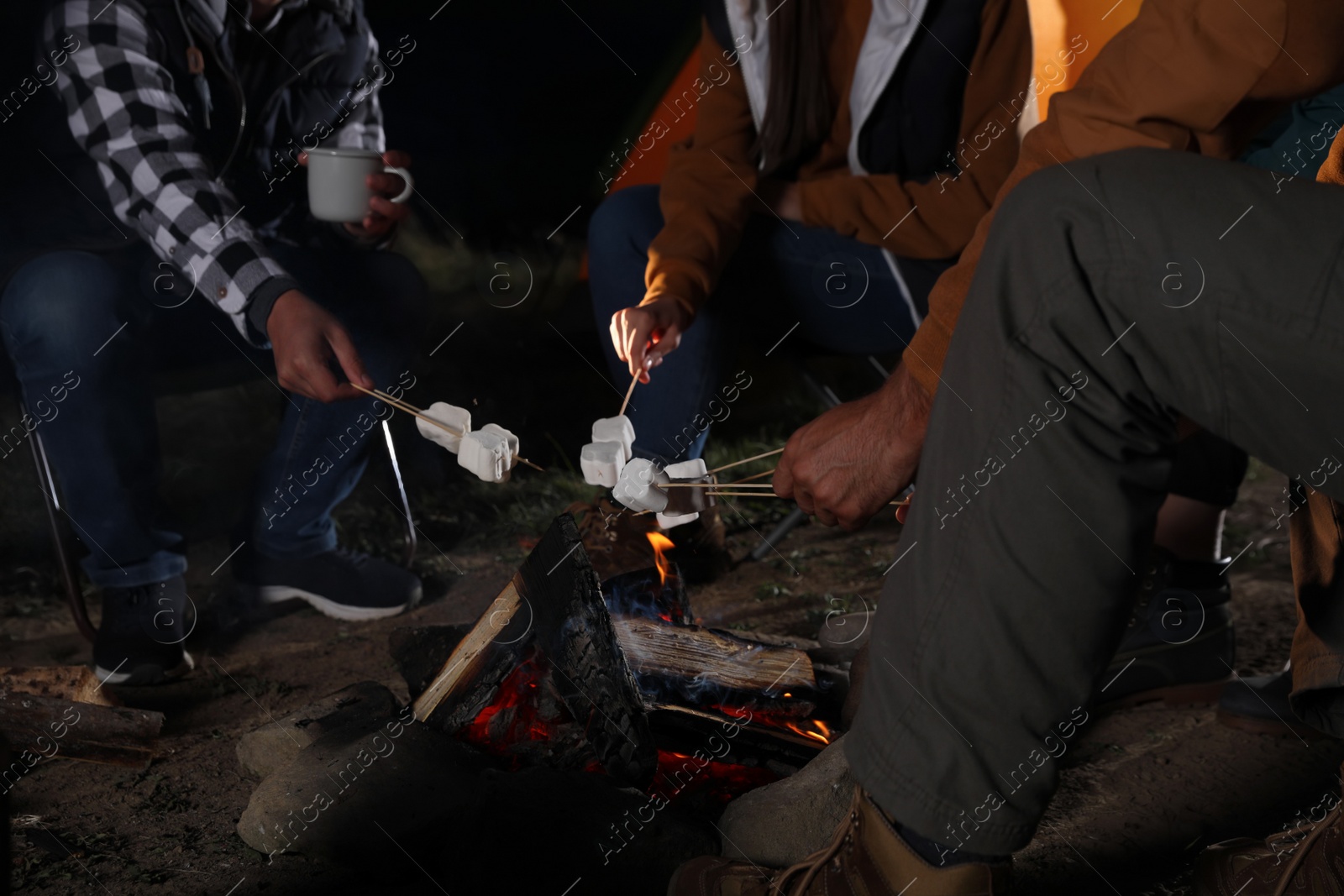 Photo of Group of friends roasting marshmallows on bonfire at camping site in evening, closeup