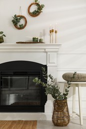 Stylish room with beautiful fireplace and eucalyptus branches