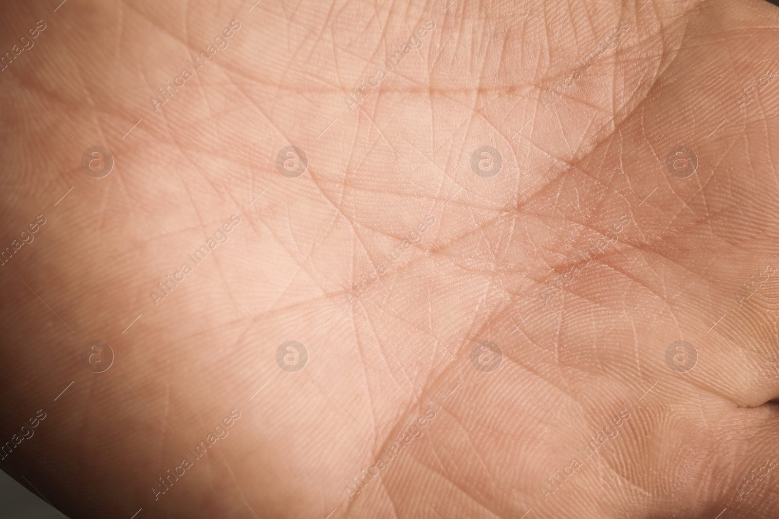Photo of Closeup view of person with clean skin on palm