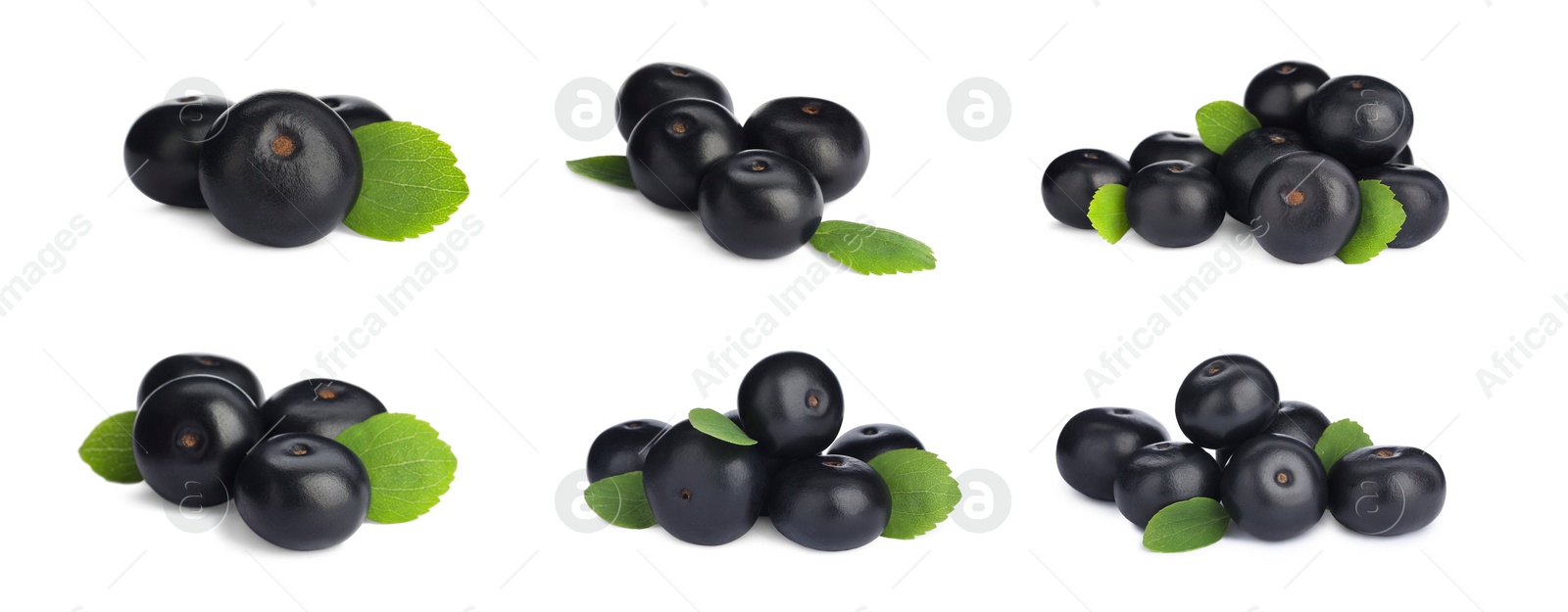 Image of Set with acai berries on white background. Banner design