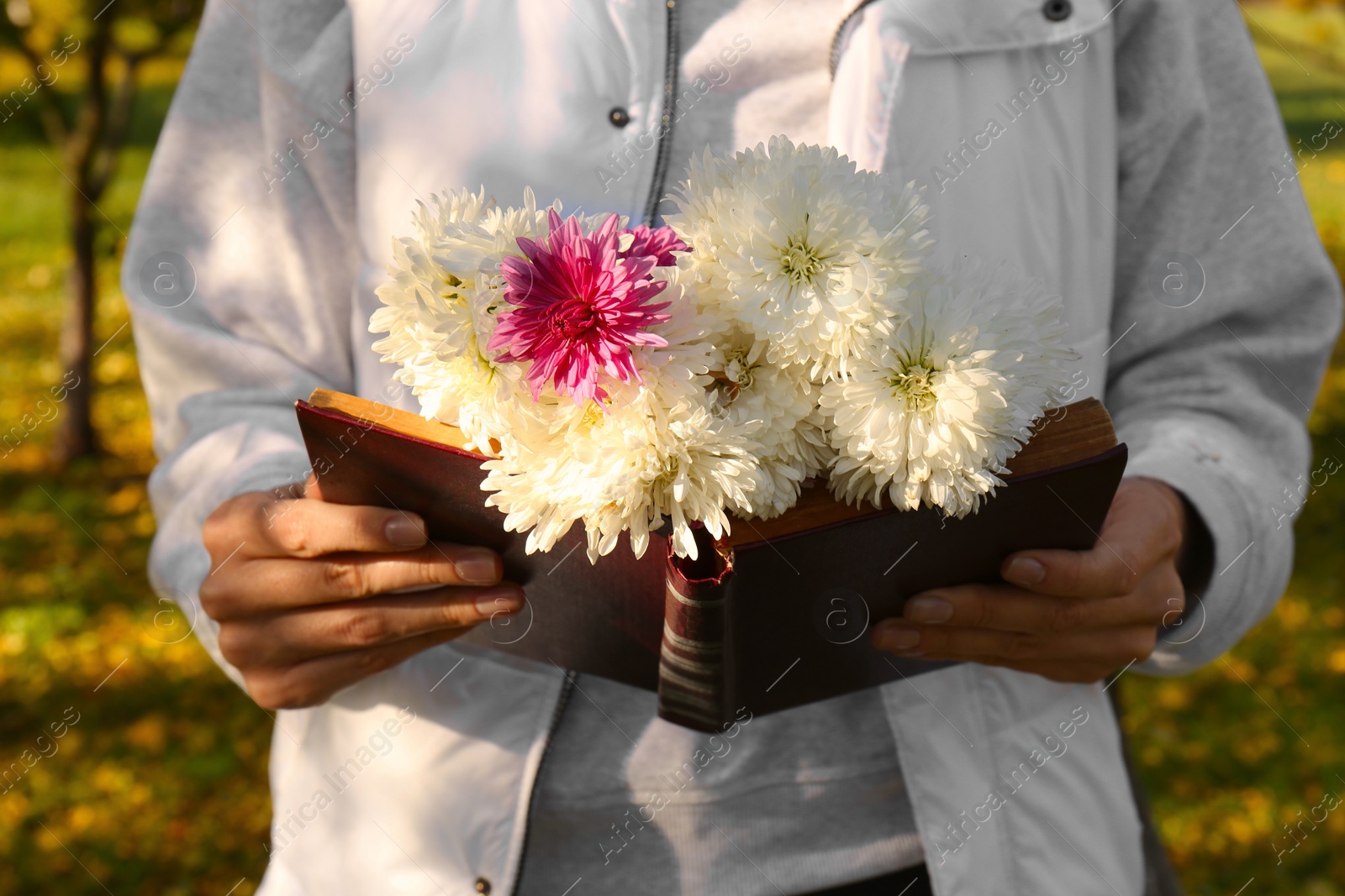 Photo of Woman reading book and holding beautiful flowers outdoors on autumn day, closeup