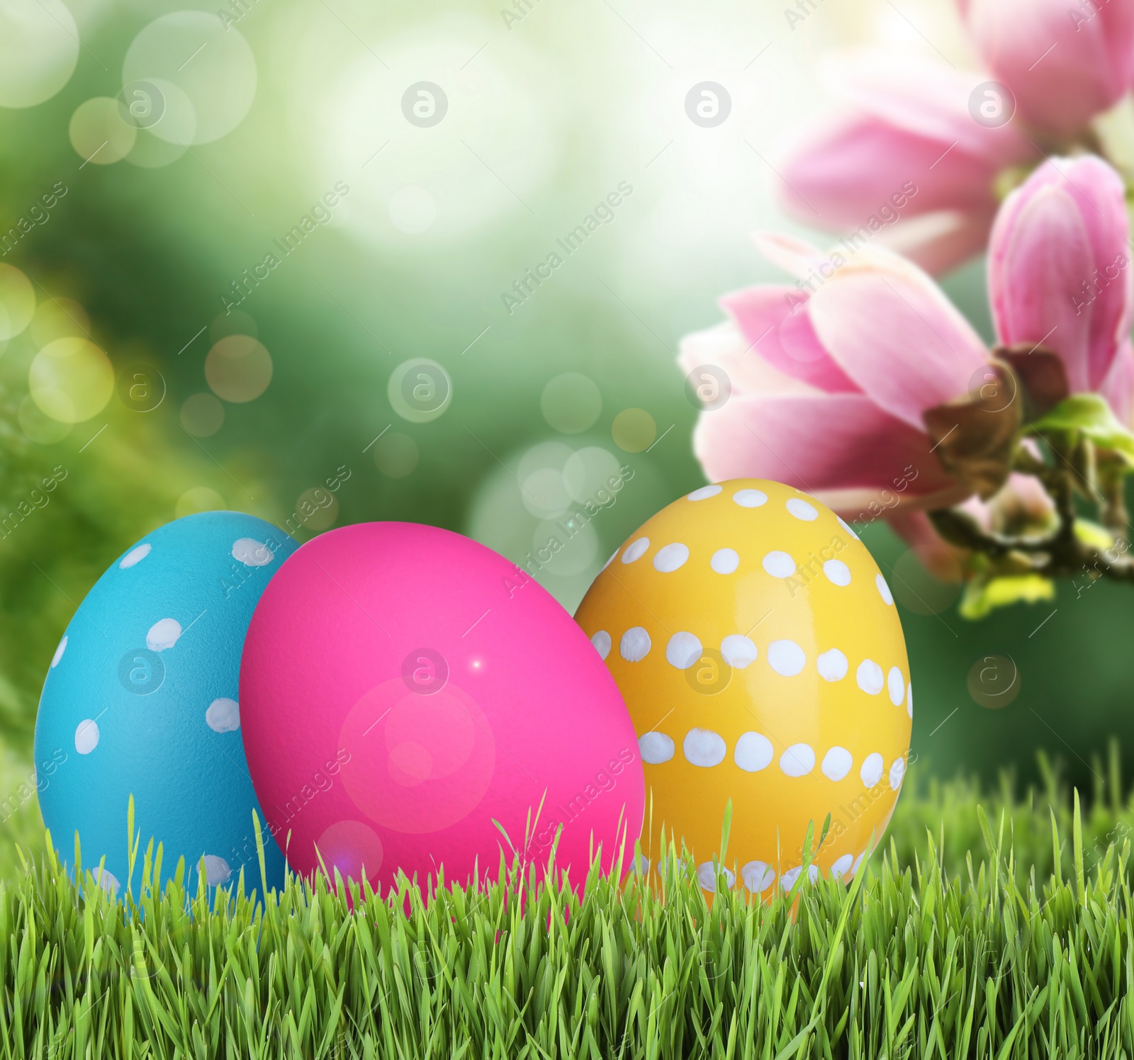 Image of Bright Easter eggs on green grass outdoors