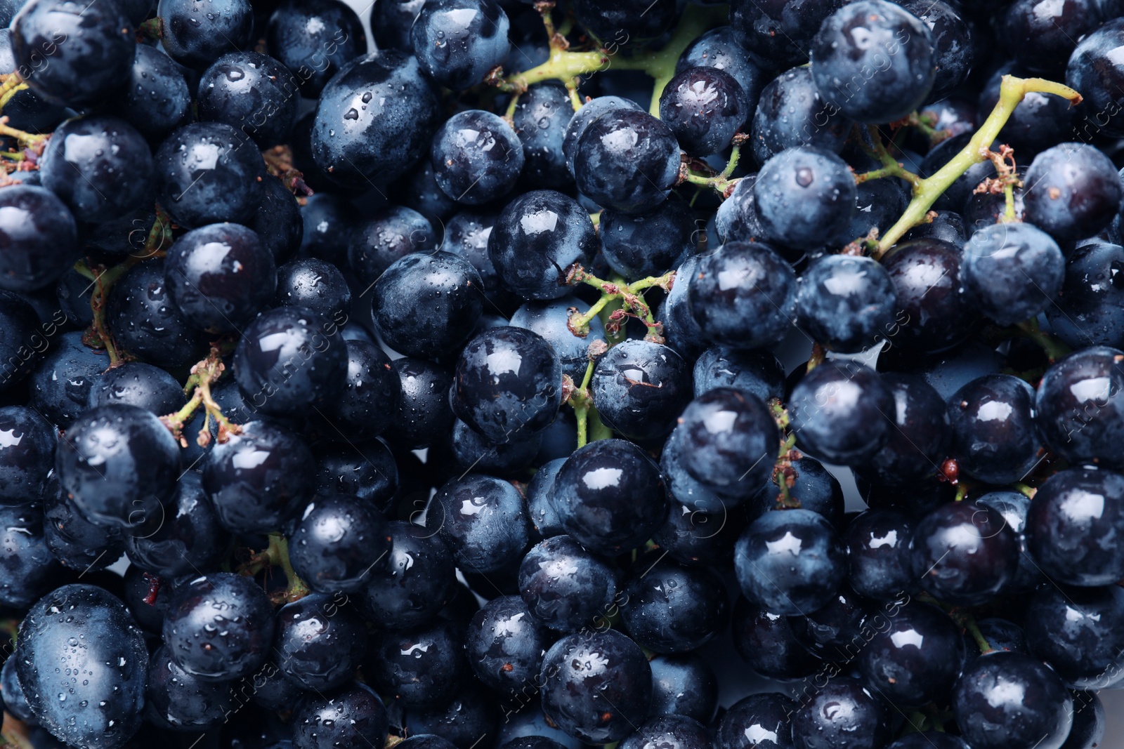 Photo of Fresh ripe juicy grapes with water drops as background, closeup