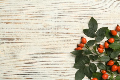 Photo of Ripe rose hip berries with green leaves on white wooden table, flat lay. Space for text