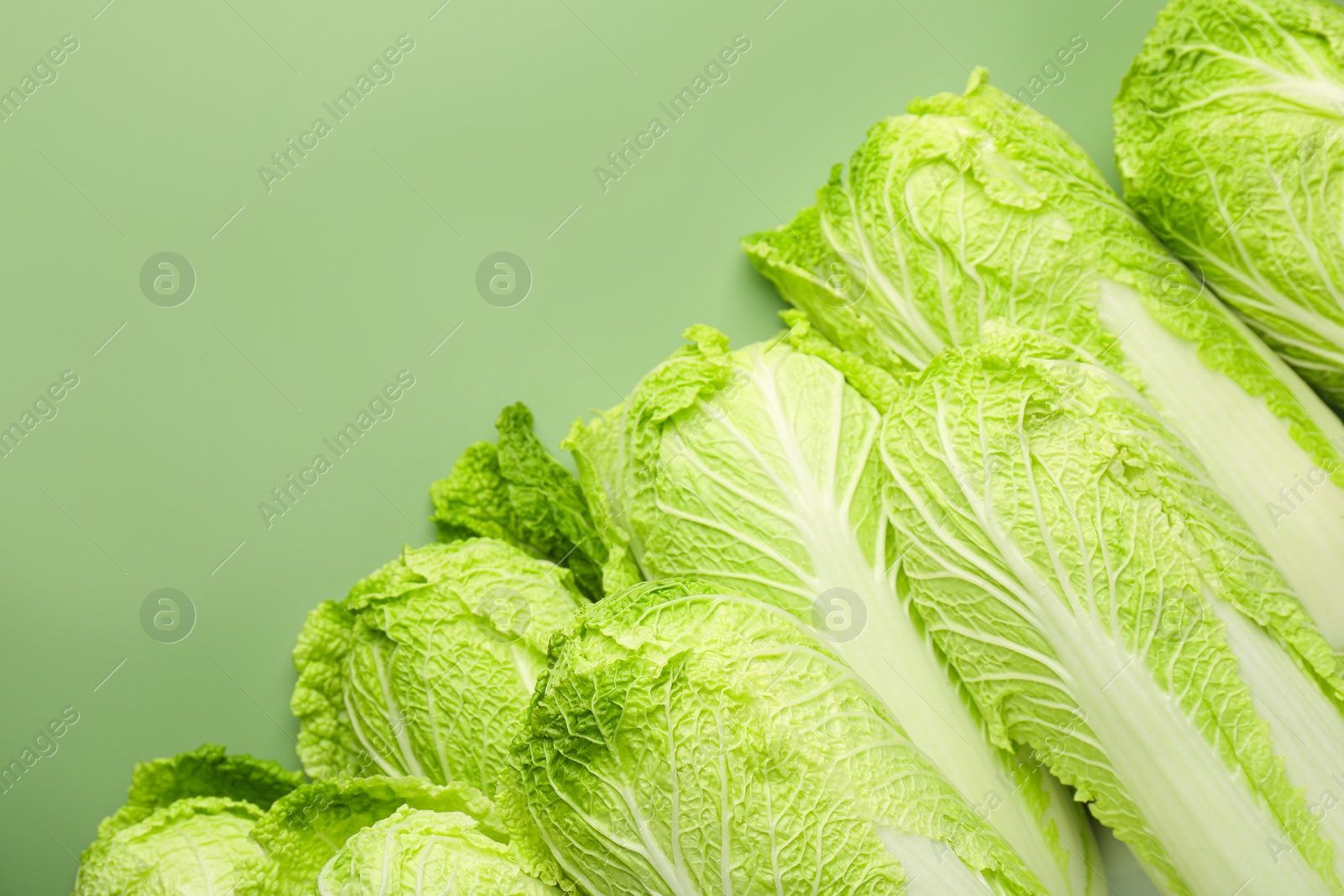 Photo of Many fresh Chinese cabbages on pale green background, top view. Space for text