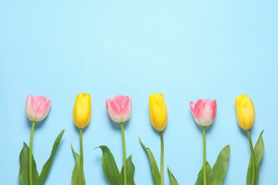 Photo of Beautiful colorful tulips on light blue background, flat lay with space for text