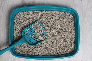 Cat toilet with scoop on gray background, top view. Pet care